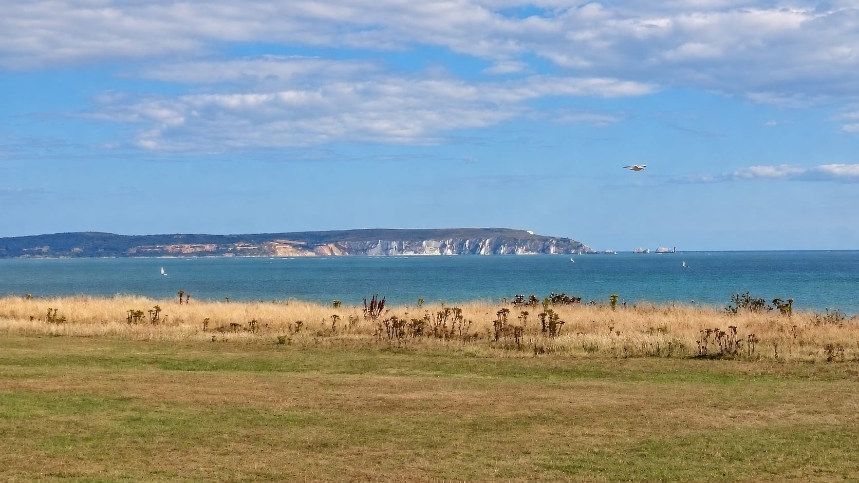 White cliffs and the Needles, seen from Barton-on-Sea.