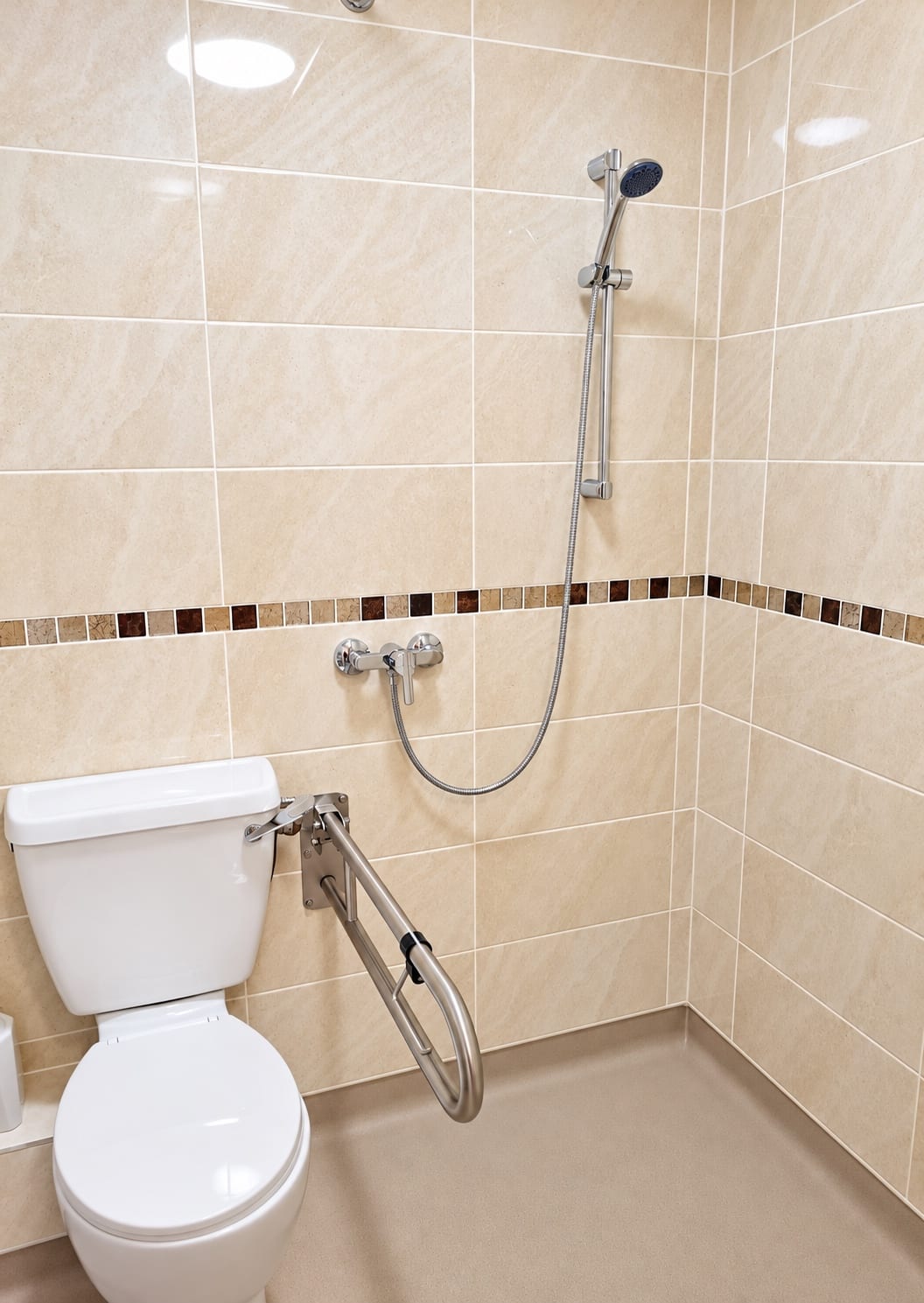Shower, toilet and a drop-down grab rail.